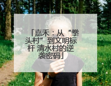 嘉禾：从“拳头村”到文明标杆 清水村的逆袭密码