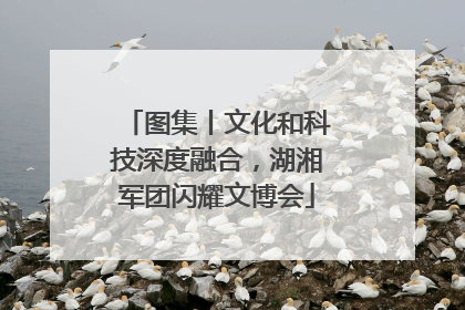 图集丨文化和科技深度融合，湖湘军团闪耀文博会