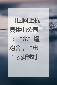 国网上杭县供电公司：“光”耀鸡舍，“电”亮增收