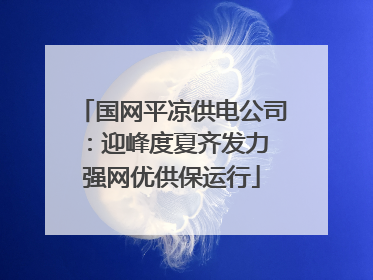 国网平凉供电公司：迎峰度夏齐发力 强网优供保运行