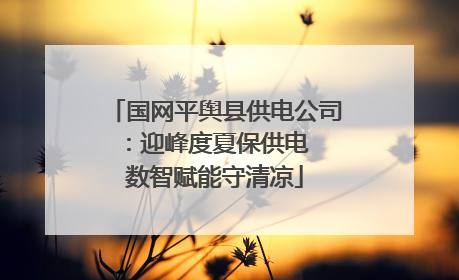 国网平舆县供电公司：迎峰度夏保供电  数智赋能守清凉