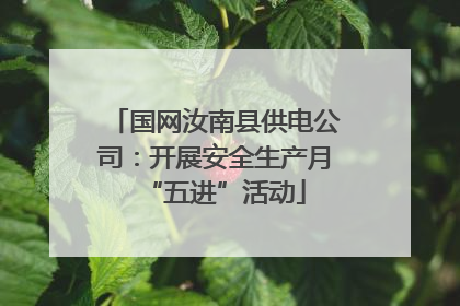 国网汝南县供电公司：开展安全生产月“五进”活动