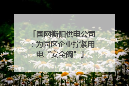 国网衡阳供电公司：为园区企业拧紧用电“安全阀”