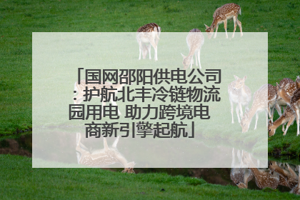 国网邵阳供电公司：护航北丰冷链物流园用电 助力跨境电商新引擎起航