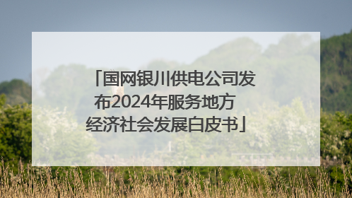 国网银川供电公司发布2024年服务地方经济社会发展白皮书