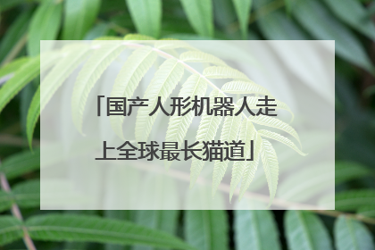 国产人形机器人走上全球最长猫道