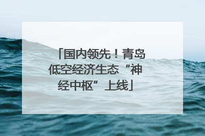 国内领先！青岛低空经济生态“神经中枢”上线