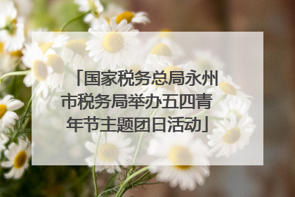 国家税务总局永州市税务局举办五四青年节主题团日活动