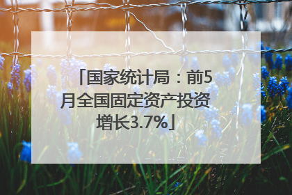 国家统计局：前5月全国固定资产投资增长3.7%