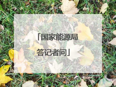 国家能源局答记者问