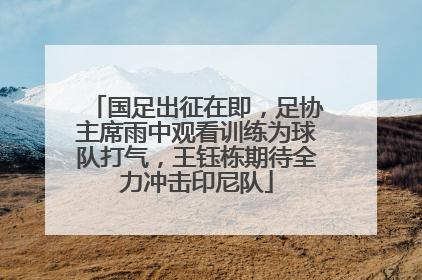 国足出征在即，足协主席雨中观看训练为球队打气，王钰栋期待全力冲击印尼队