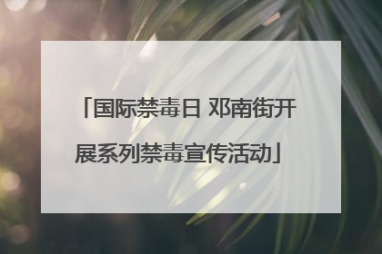 国际禁毒日 邓南街开展系列禁毒宣传活动