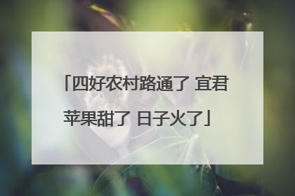 四好农村路通了 宜君苹果甜了 日子火了