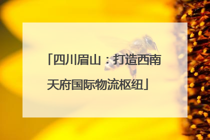 四川眉山：打造西南天府国际物流枢纽