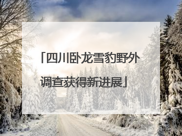 四川卧龙雪豹野外调查获得新进展
