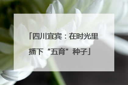 四川宜宾：在时光里播下“五育”种子