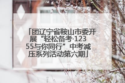 团辽宁省鞍山市委开展“轻松备考·12355与你同行”中考减压系列活动第六期