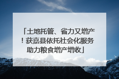 土地托管、省力又增产!获嘉县依托社会化服务助力粮食增产增收