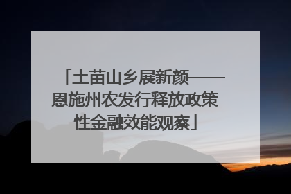 土苗山乡展新颜——恩施州农发行释放政策性金融效能观察