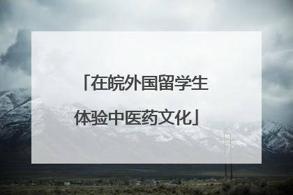 在皖外国留学生体验中医药文化