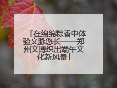 在绵绵粽香中体验文脉悠长——郑州文博织出端午文化新风景