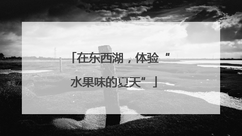 在东西湖，体验“水果味的夏天”