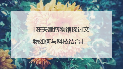 在天津博物馆探讨文物如何与科技结合