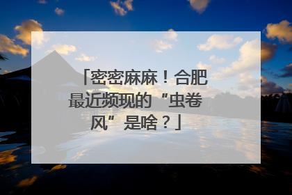 密密麻麻！合肥最近频现的“虫卷风”是啥？