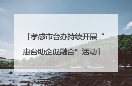 孝感市台办持续开展“惠台助企促融合”活动