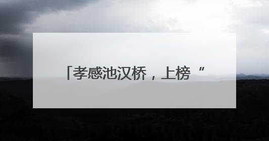 孝感池汉桥，上榜“中国好人榜”候选人