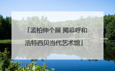孟柏伸个展 揭幕呼和浩特西贝当代艺术馆