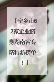宁乡市62家企业跻身湖南省专精特新榜单！