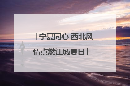 宁夏同心 西北风情点燃江城夏日