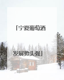 宁夏葡萄酒发展势头强
