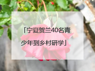 宁夏贺兰40名青少年到乡村研学