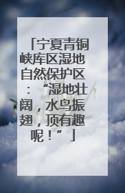 宁夏青铜峡库区湿地自然保护区：“湿地壮阔，水鸟振翅，顶有趣呢！”