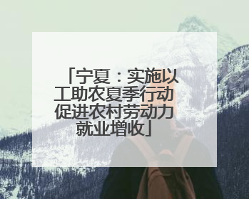 宁夏：实施以工助农夏季行动促进农村劳动力就业增收