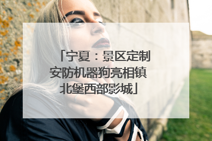 宁夏：景区定制安防机器狗亮相镇北堡西部影城