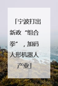 宁波打出新政“组合拳”，加码人形机器人产业