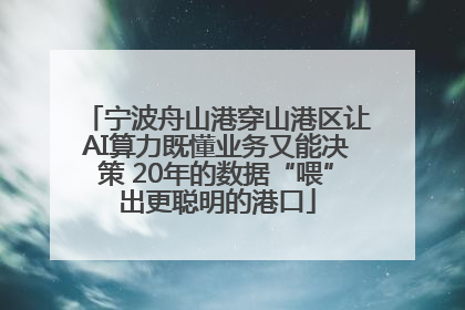 宁波舟山港穿山港区让AI算力既懂业务又能决策 20年的数据“喂”出更聪明的港口