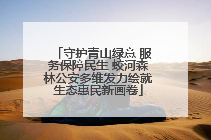 守护青山绿意 服务保障民生 蛟河森林公安多维发力绘就生态惠民新画卷