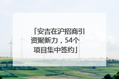 安吉在沪招商引资聚新力，54个项目集中签约