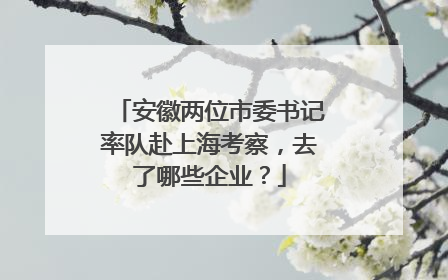 安徽两位市委书记率队赴上海考察，去了哪些企业？