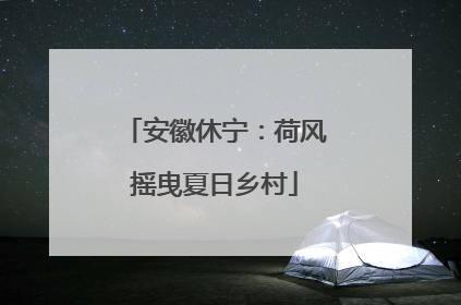 安徽休宁：荷风摇曳夏日乡村