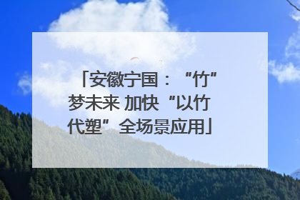 安徽宁国：“竹”梦未来 加快“以竹代塑”全场景应用