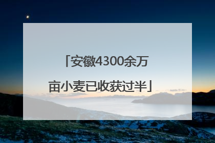 安徽4300余万亩小麦已收获过半