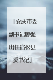 安庆市委副书记廖强出任宿松县委书记