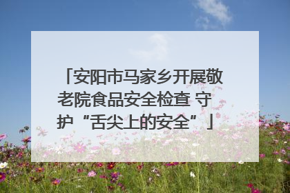 安阳市马家乡开展敬老院食品安全检查 守护“舌尖上的安全”