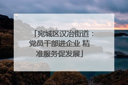 宛城区汉冶街道：党员干部进企业 精准服务促发展