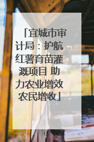 宜城市审计局：护航红薯育苗灌溉项目 助力农业增效农民增收